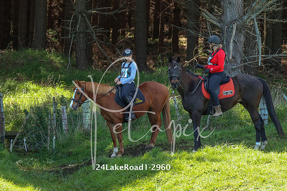 24LakeRoad1-2960