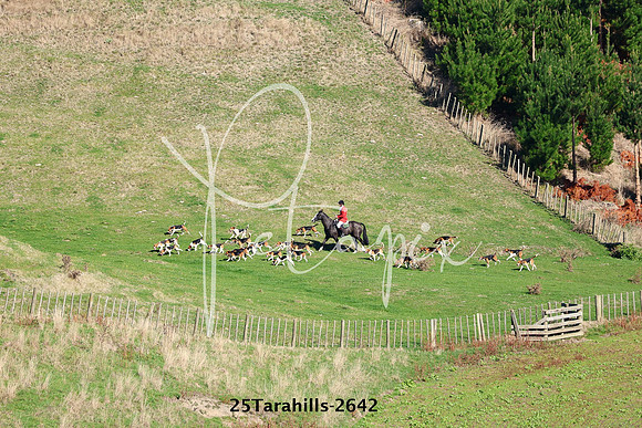 25Tarahills-2642