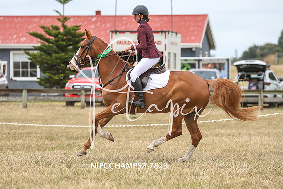 NIPCCHAMPS2-7823