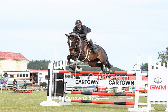 24Cartown2-8735