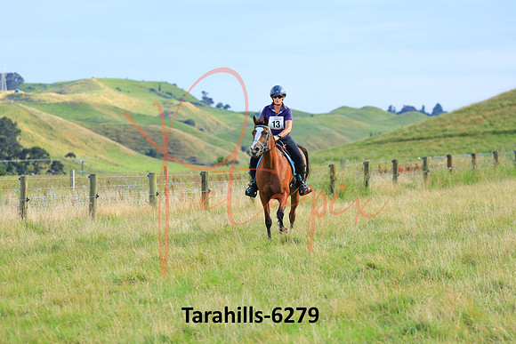 Tarahills-6279