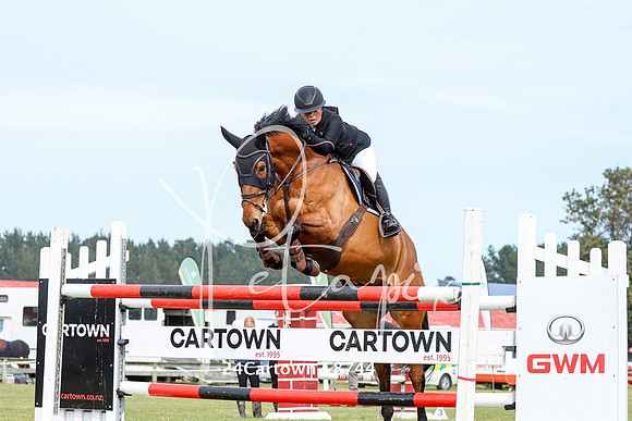 24Cartown2-8744