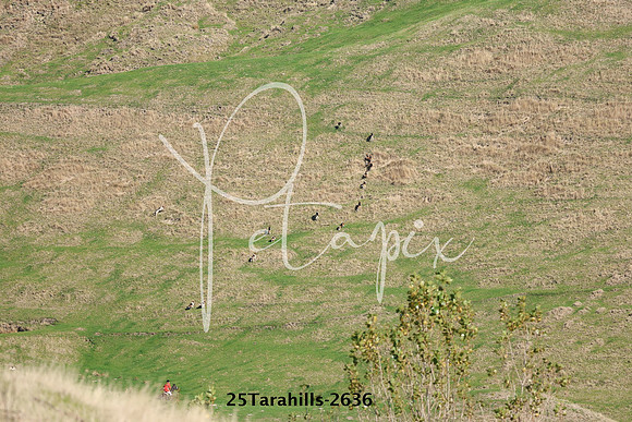 25Tarahills-2636
