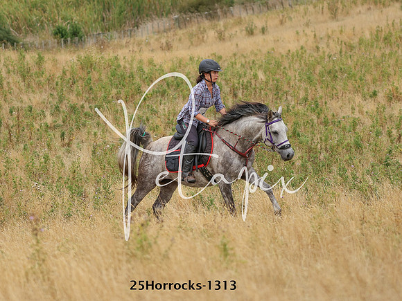 25Horrocks-1313