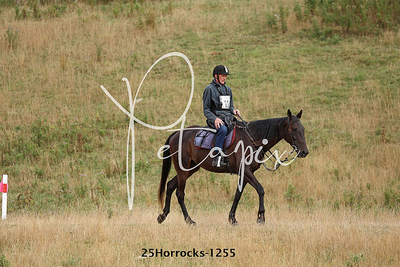 25Horrocks-1255