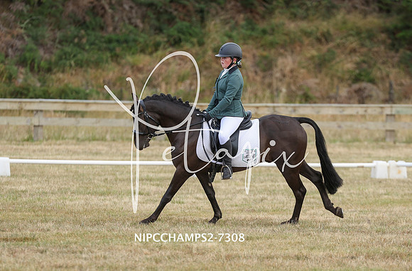 NIPCCHAMPS2-7308