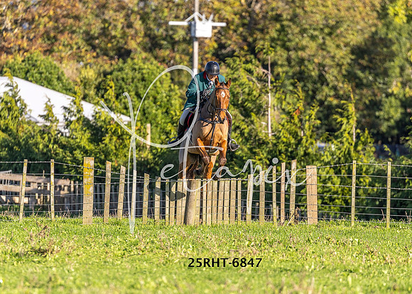 25RHT-6847