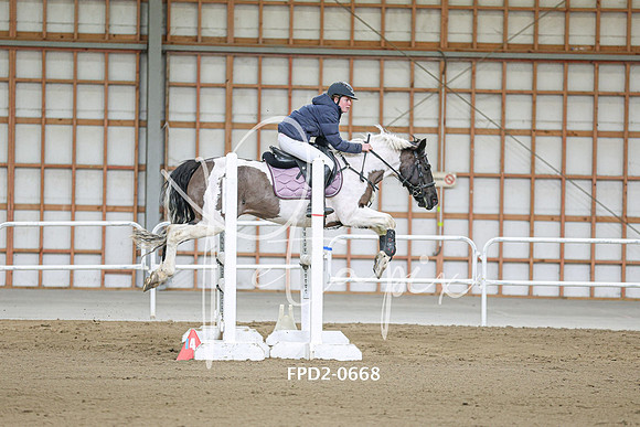 FPD2-0668