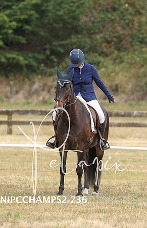 NIPCCHAMPS2-7368