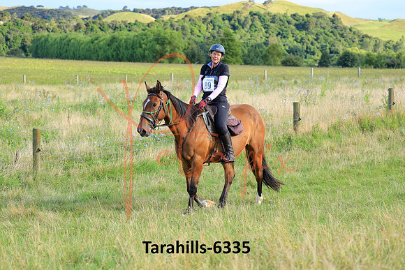 Tarahills-6335