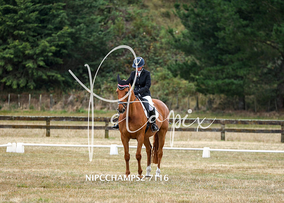 NIPCCHAMPS2-7116
