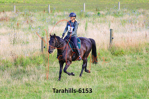 Tarahills-6153