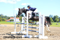 23FAPIFEB-0163