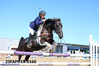 23FAPIFEB-0166