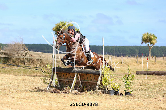 25ECD-9878