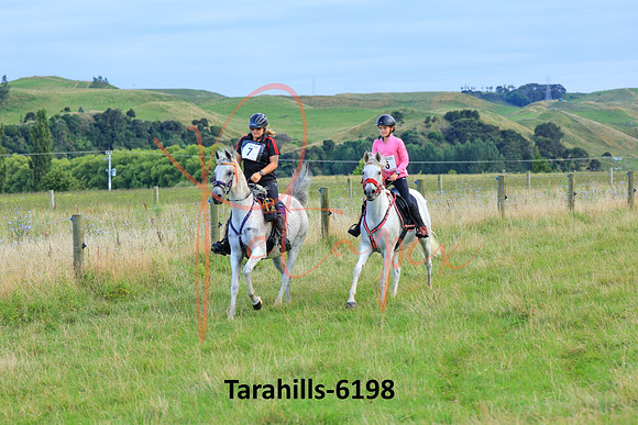 Tarahills-6198