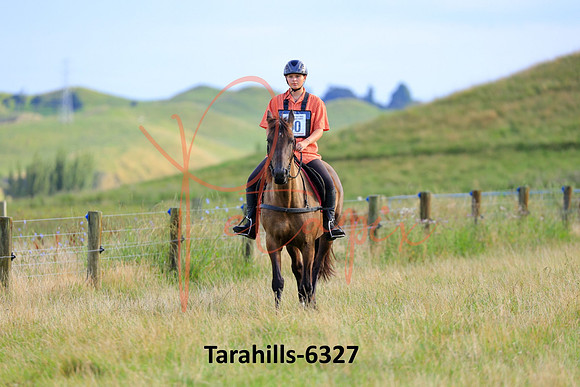 Tarahills-6327