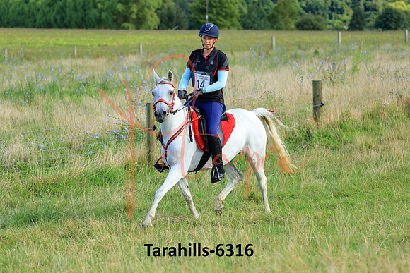 Tarahills-6316