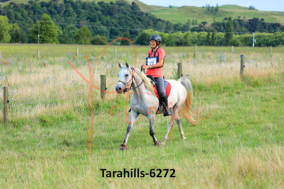 Tarahills-6272