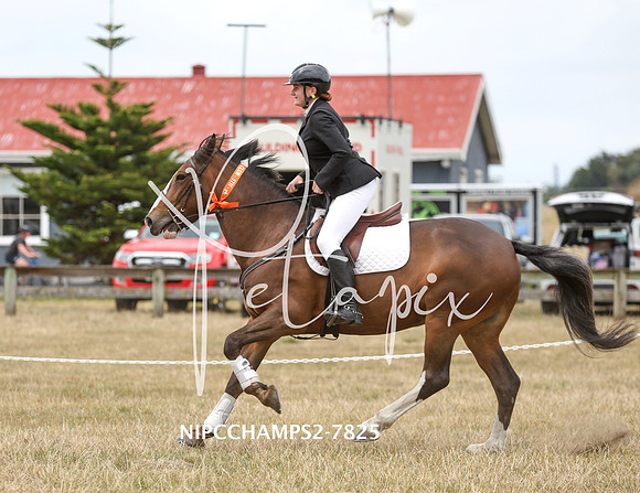 NIPCCHAMPS2-7825