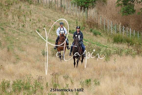 25Horrocks-1482