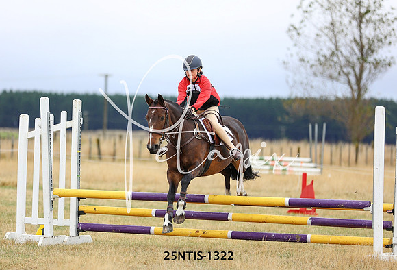 25NTIS-1322