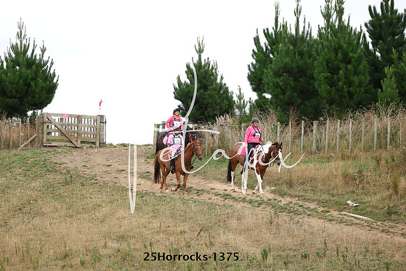 25Horrocks-1375