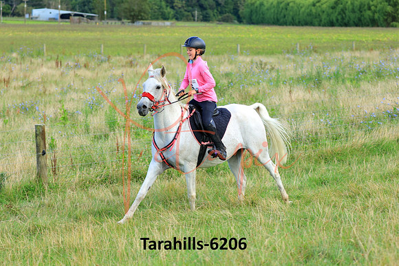 Tarahills-6206