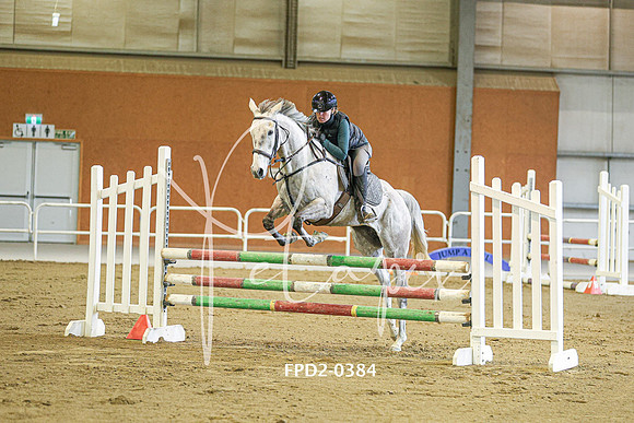 FPD2-0384