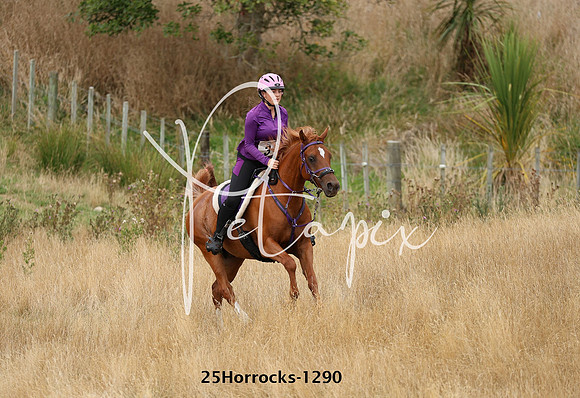25Horrocks-1290