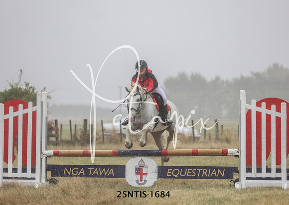 25NTIS-1684