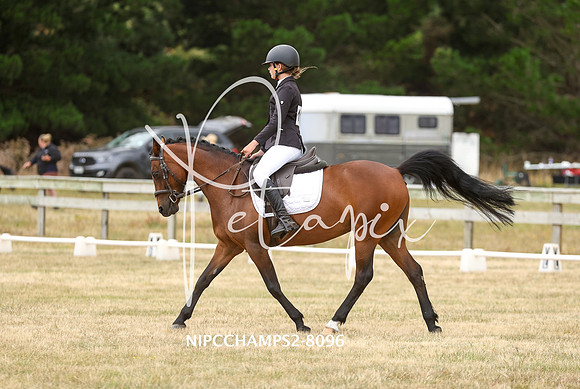 NIPCCHAMPS2-8096
