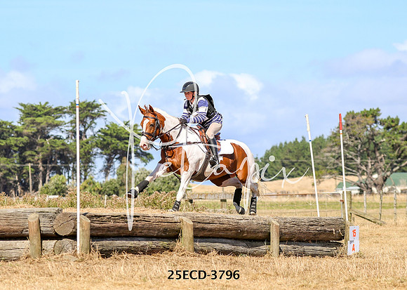 25ECD-3796