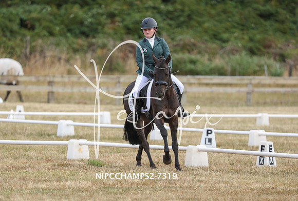 NIPCCHAMPS2-7319