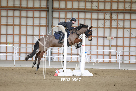 FPD2-0567