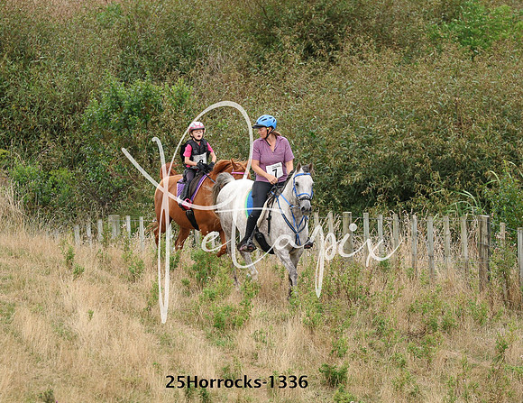 25Horrocks-1336