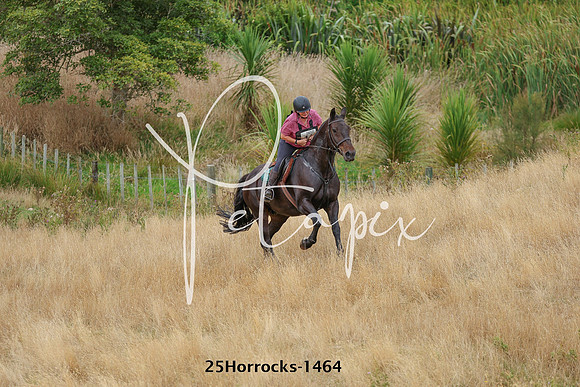 25Horrocks-1464