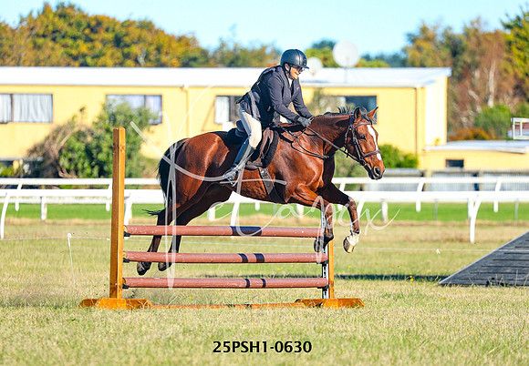 25PSH1-0630