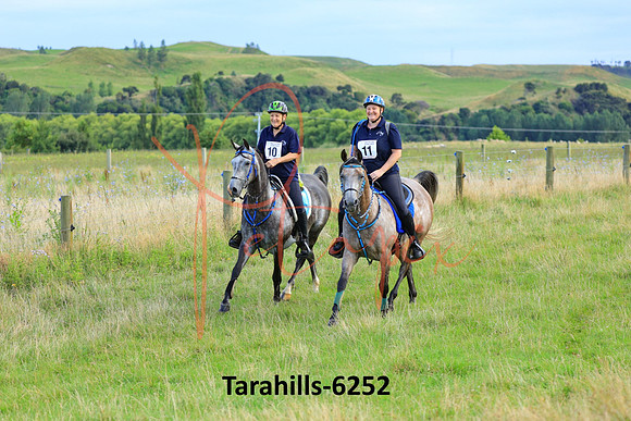 Tarahills-6252