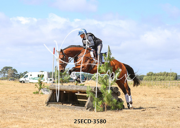 25ECD-3580