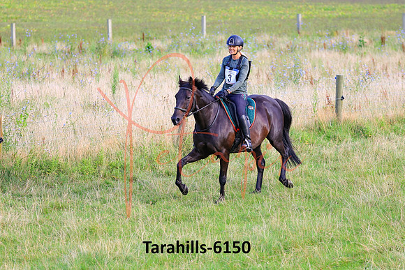 Tarahills-6150