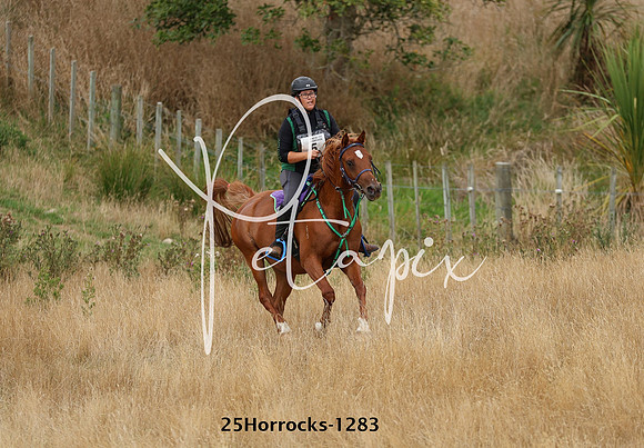 25Horrocks-1283
