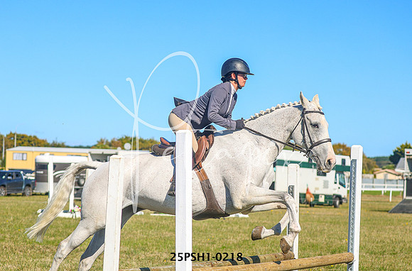 25PSH1-0218