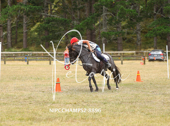 NIPCCHAMPS2-8896