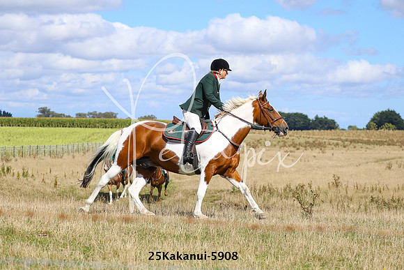 25Kakanui-5908