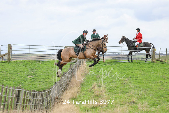 24 TaraHills-3977