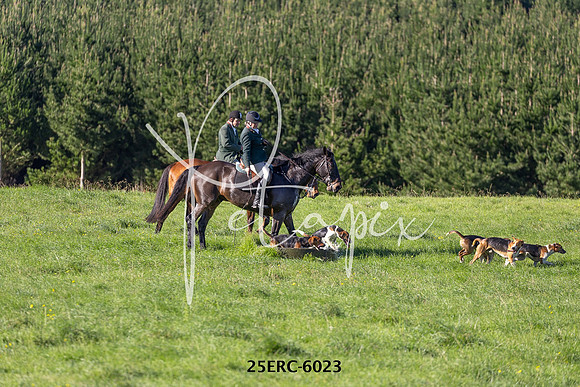 25ERC-6023