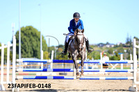23FAPIFEB-0148