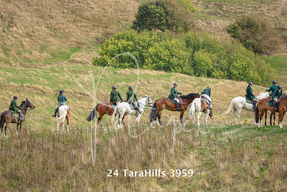 24 TaraHills-3959