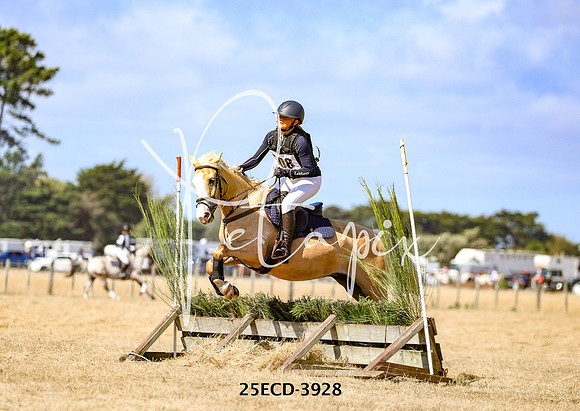 25ECD-3928